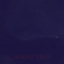 Purple Trap - The Wound That Was Given Birth To Must Be Bigger Than The Wound That Gave Birth专辑