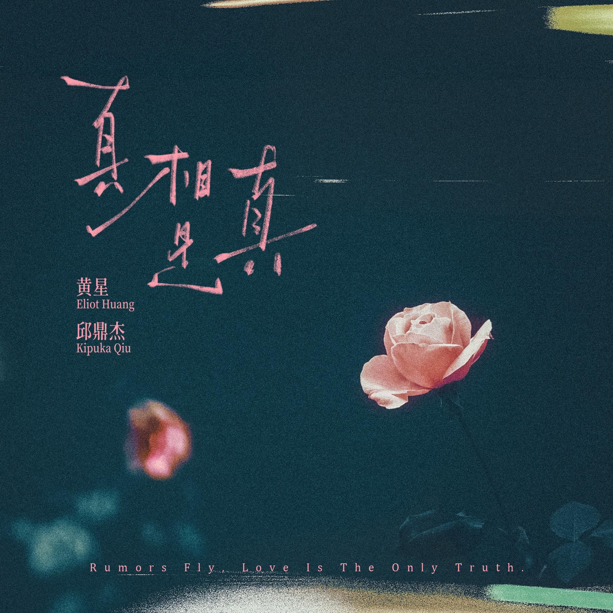 真相是真 海报