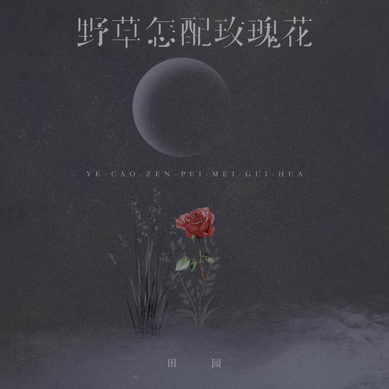 野草怎配玫瑰花 海報