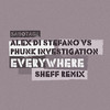 Alex Di Stefano - Phunk Investigation & Alex Di Stefano - Everywhere (Somewhere Mix)