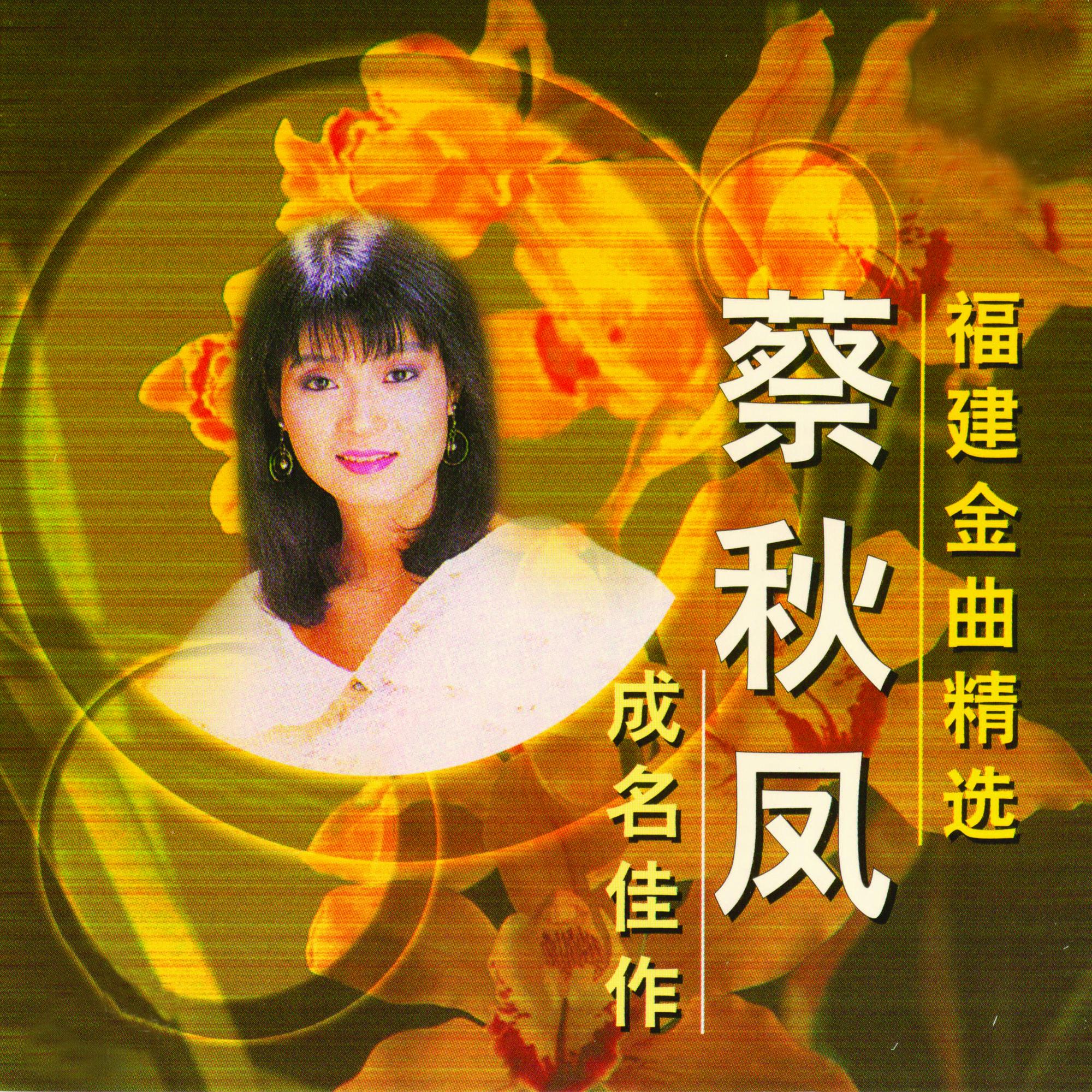 阮真思念你 海報