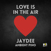 Jaydee - Love Is in the Air (Melodic Techno Mix)