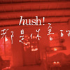 张睿衡 - 都是你害的（Cover Hush！）