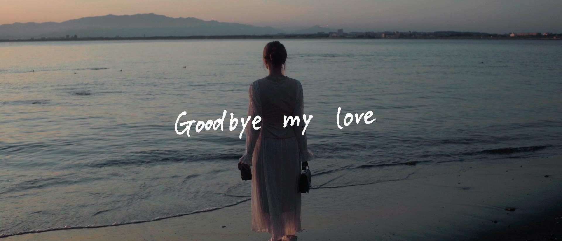 Anly - Goodbye My Love