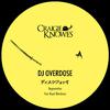 DJ Overdose - Mindstorms