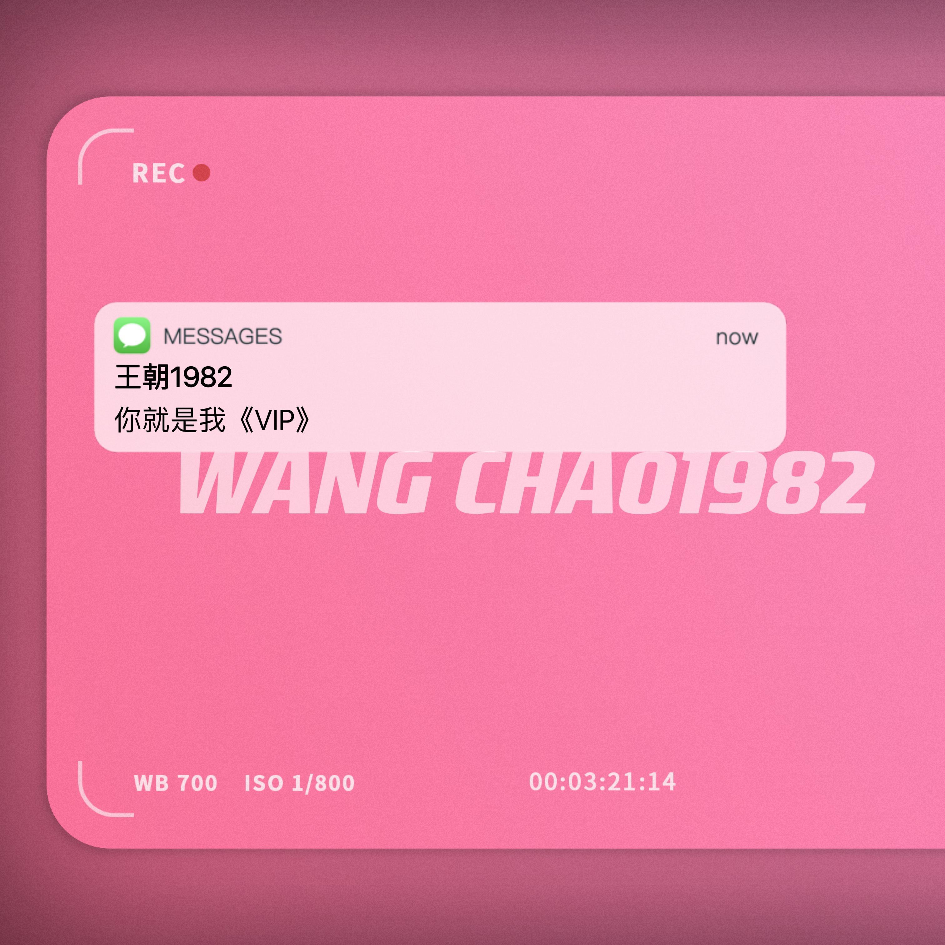 你就是我VIP banner