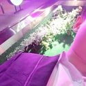 谭谭谭谭公子的曲子