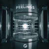 Robin Hustin - Feelings