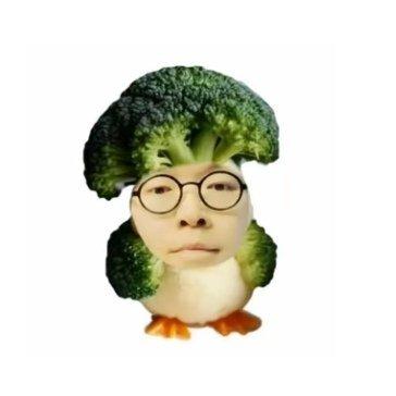 放生乌龟嘞