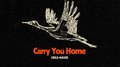 Carry You Home专辑