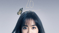 26专辑