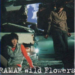 Wild Flowers专辑