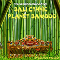 Bali Ethnic Planet Bamboo专辑