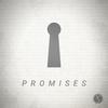 David Shaw - Promises