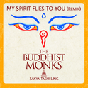 My Spirit Flies To You (CD Remix UK)专辑