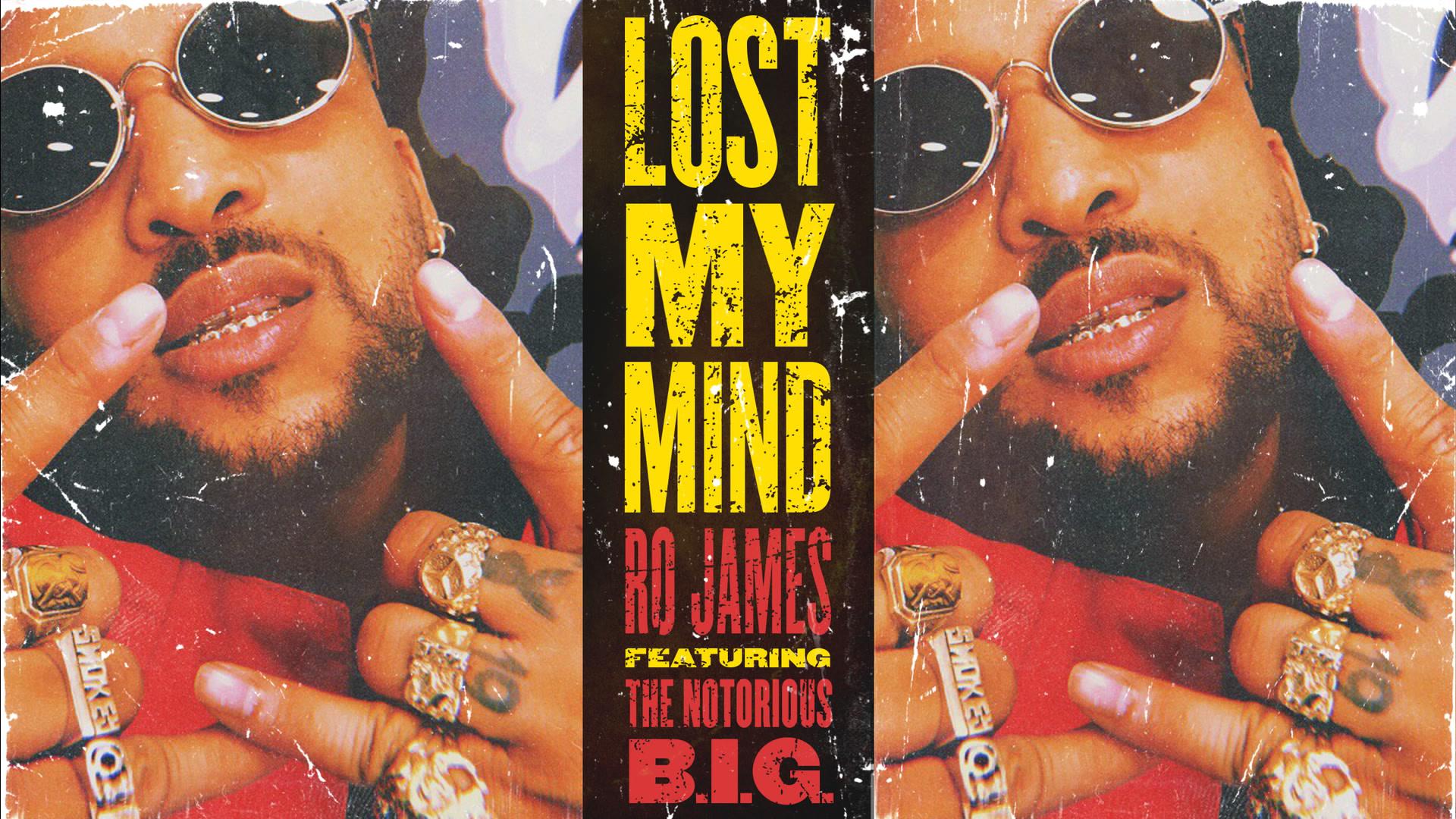 Ro James - Lost My Mind (Audio)