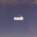 numb专辑