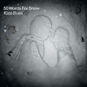 50 Words for Snow专辑