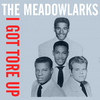 The Meadowlarks - Please (Say You Love Me)