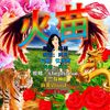 与风月对酒 - 火苗【花开富贵女团】