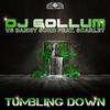 DJ Gollum - Tumbling Down (DeepInside Remix)