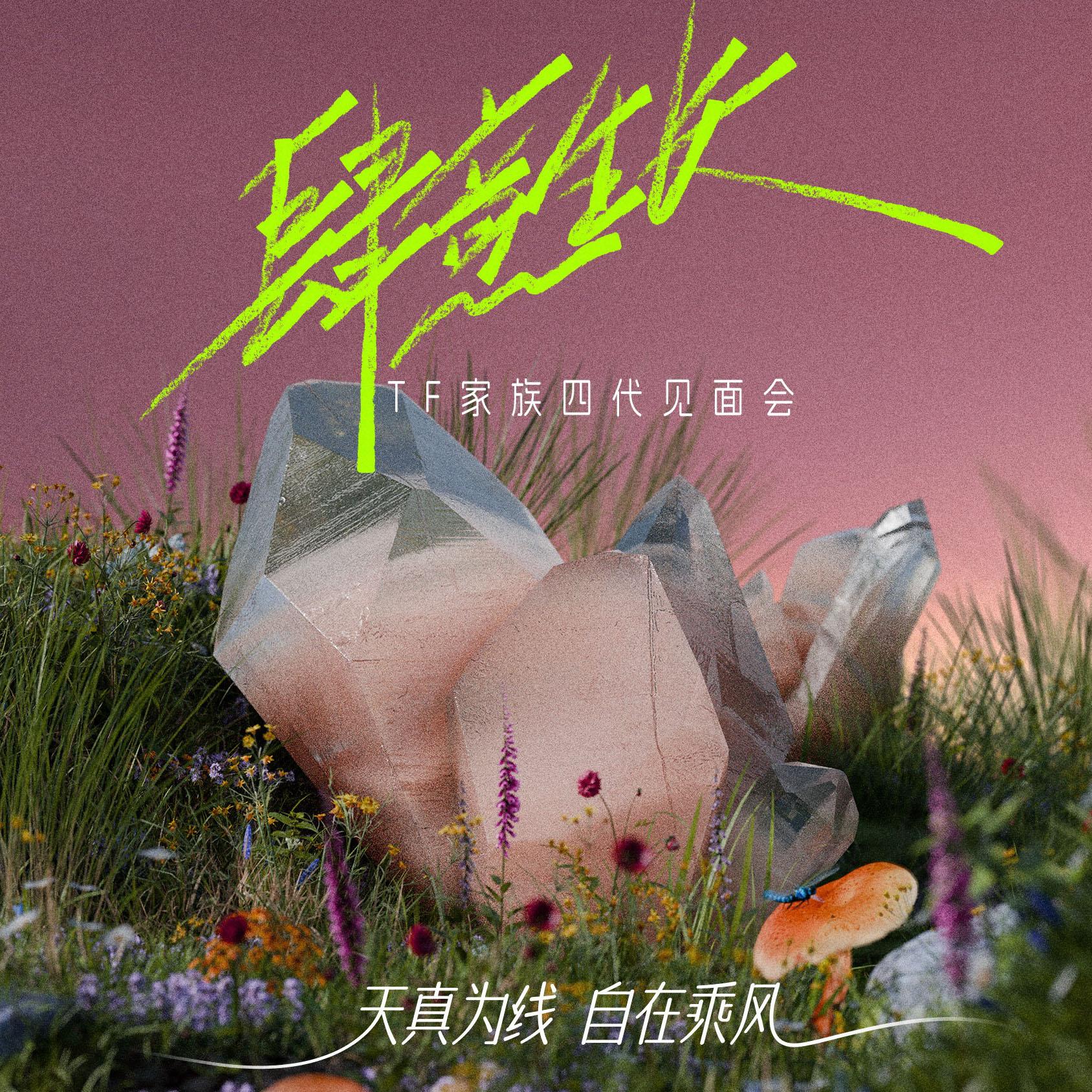 Baby (Live) 海报