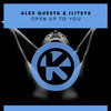 Alex Guesta - Open up to You