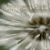 Christophe Goze - Dreams & Promises