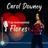 Carol Downey - Flores
