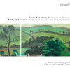 Nina Karmon - Violin Sonata in E-Flat Major, Op. 18, TrV 151:III. Finale: Andante - Allegro