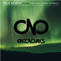 True North (501 Remix)专辑
