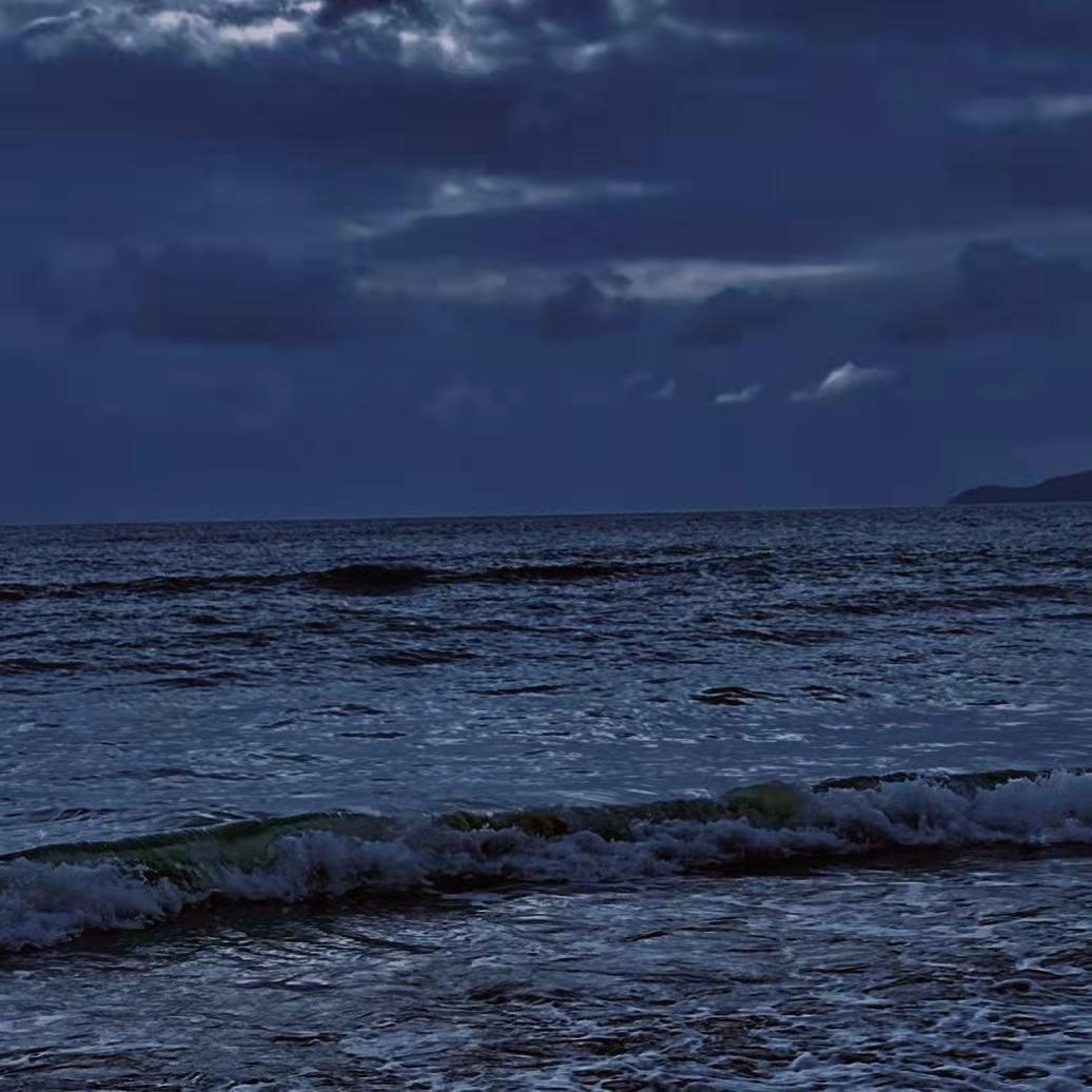 流浪 海报
