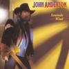 John Anderson - Cold Day In Hell