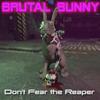 Brutal Bunny - Can I Fly In Ostrobothnia