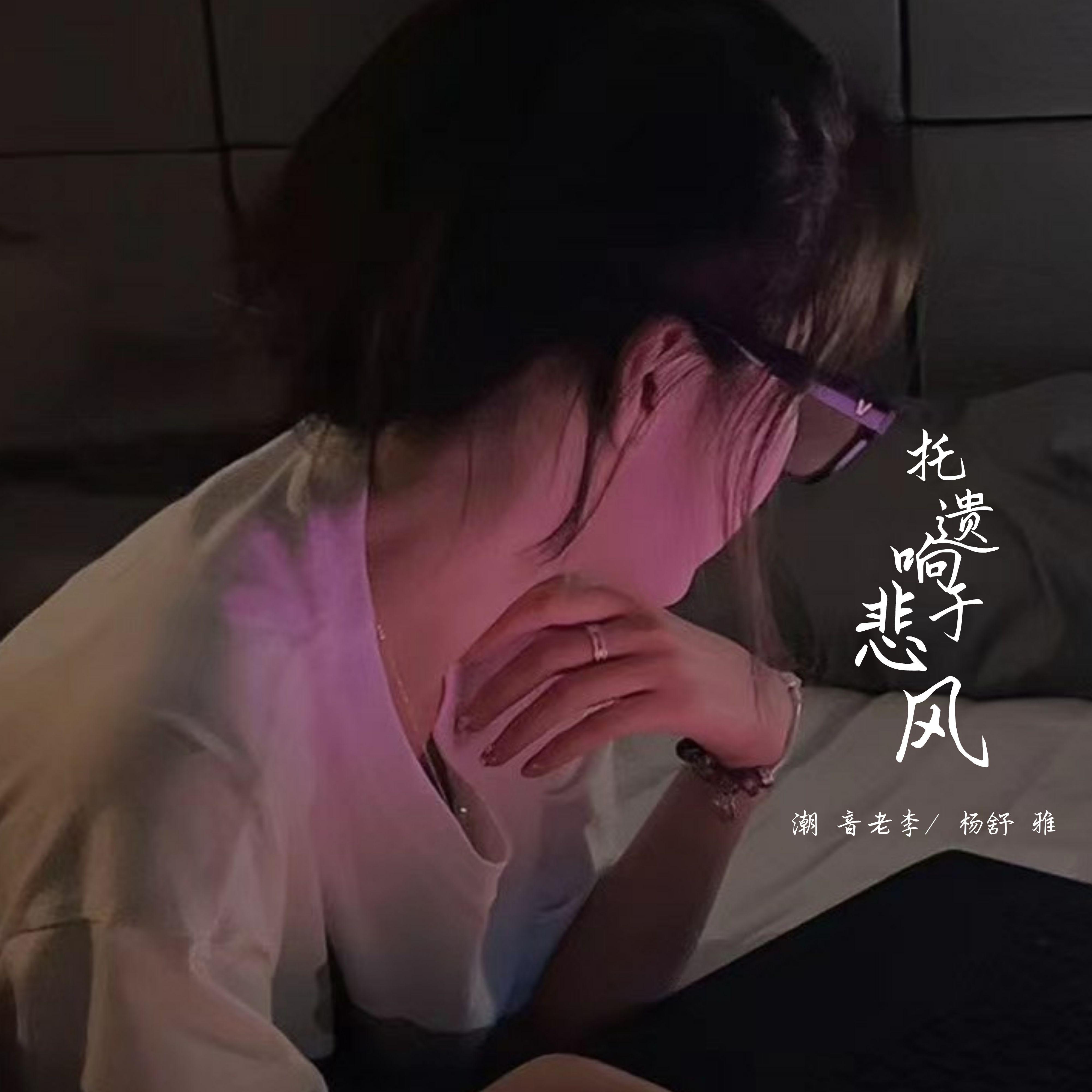 托遗响于悲风 (DJ旋律说唱版) 海报