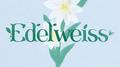 EDELWEISS专辑