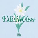 EDELWEISS专辑