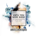Until You Were Gone (Skrux & Saturn Remix)