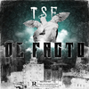 TSE - Defacto