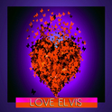 Elvis Presley : Love Elvis专辑
