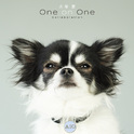 犬塚 愛 One on One Collaboration专辑