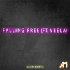 Aash Mehta - Falling Free