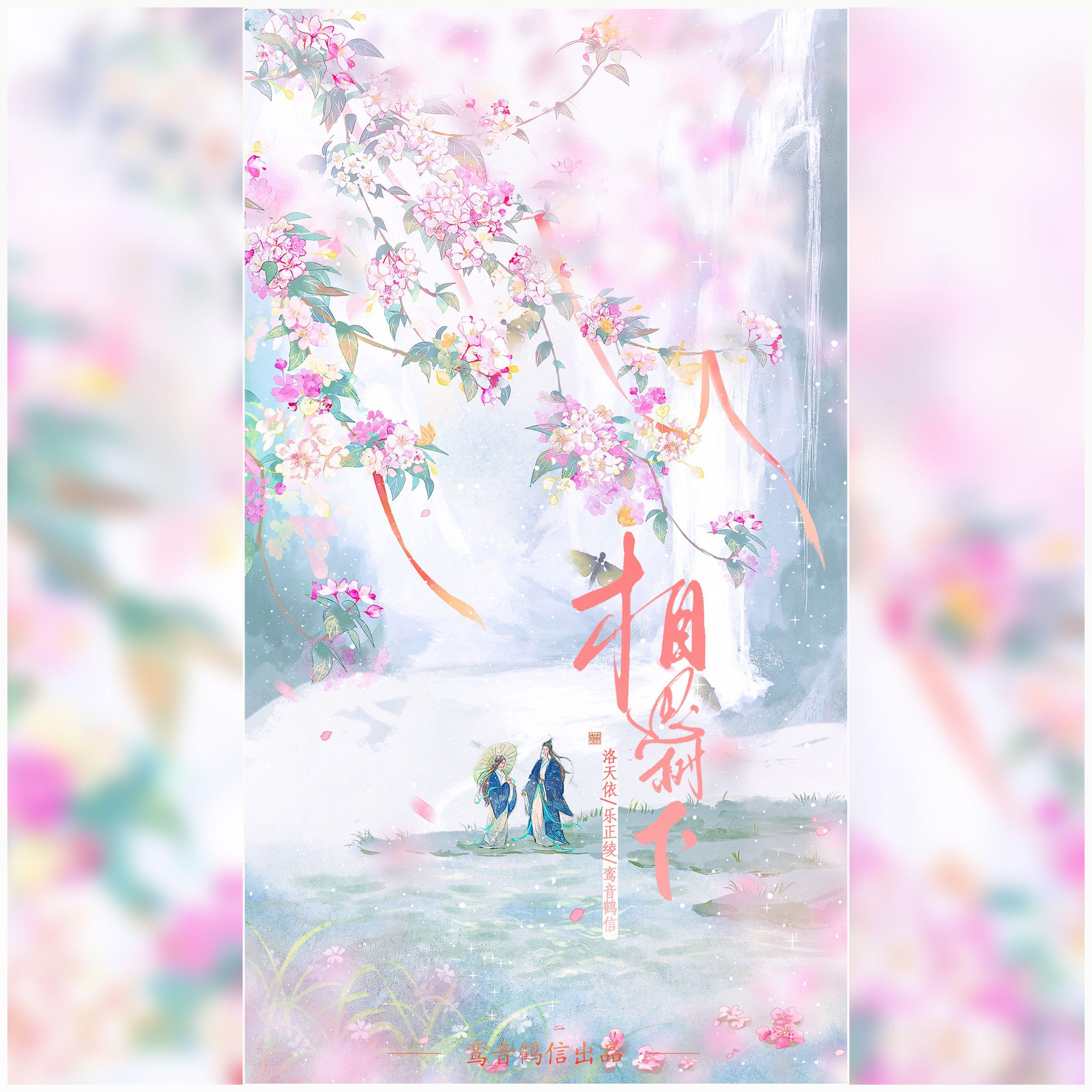 相思树下 banner