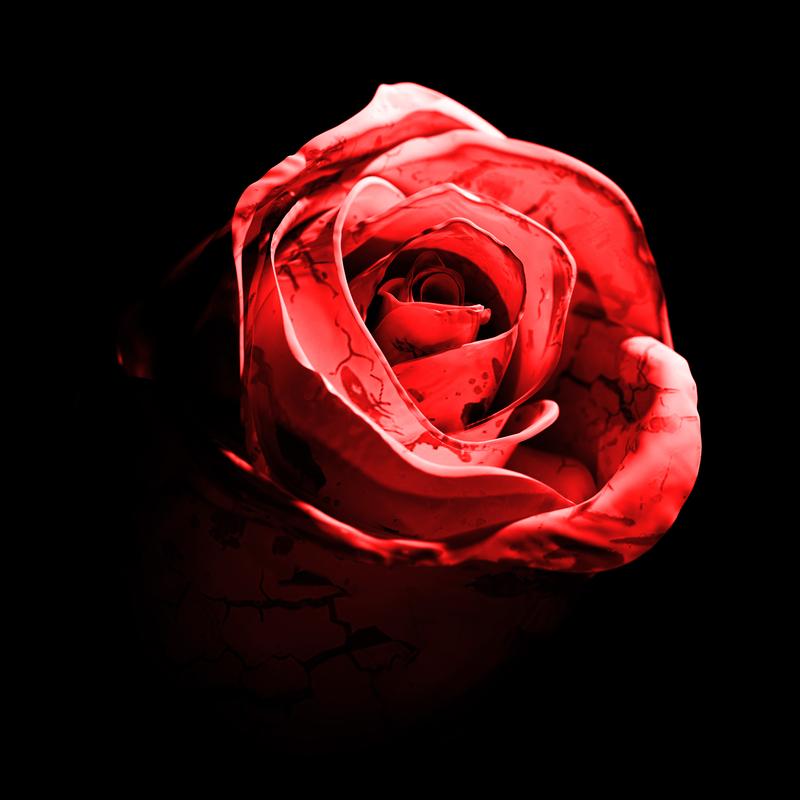 Romantic Homicide (Live Version) banner