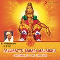 Pallikattu Sabari Malaikku