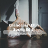 Alexei Shkurko - Sia-Chandelier (Ellin Spring Edit)（Axele/Music / ViRa remix）