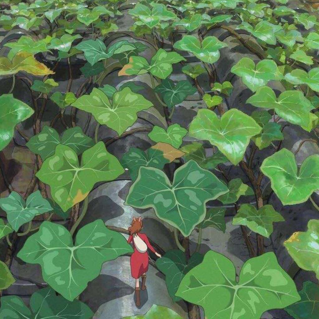 骑驴棒棒的