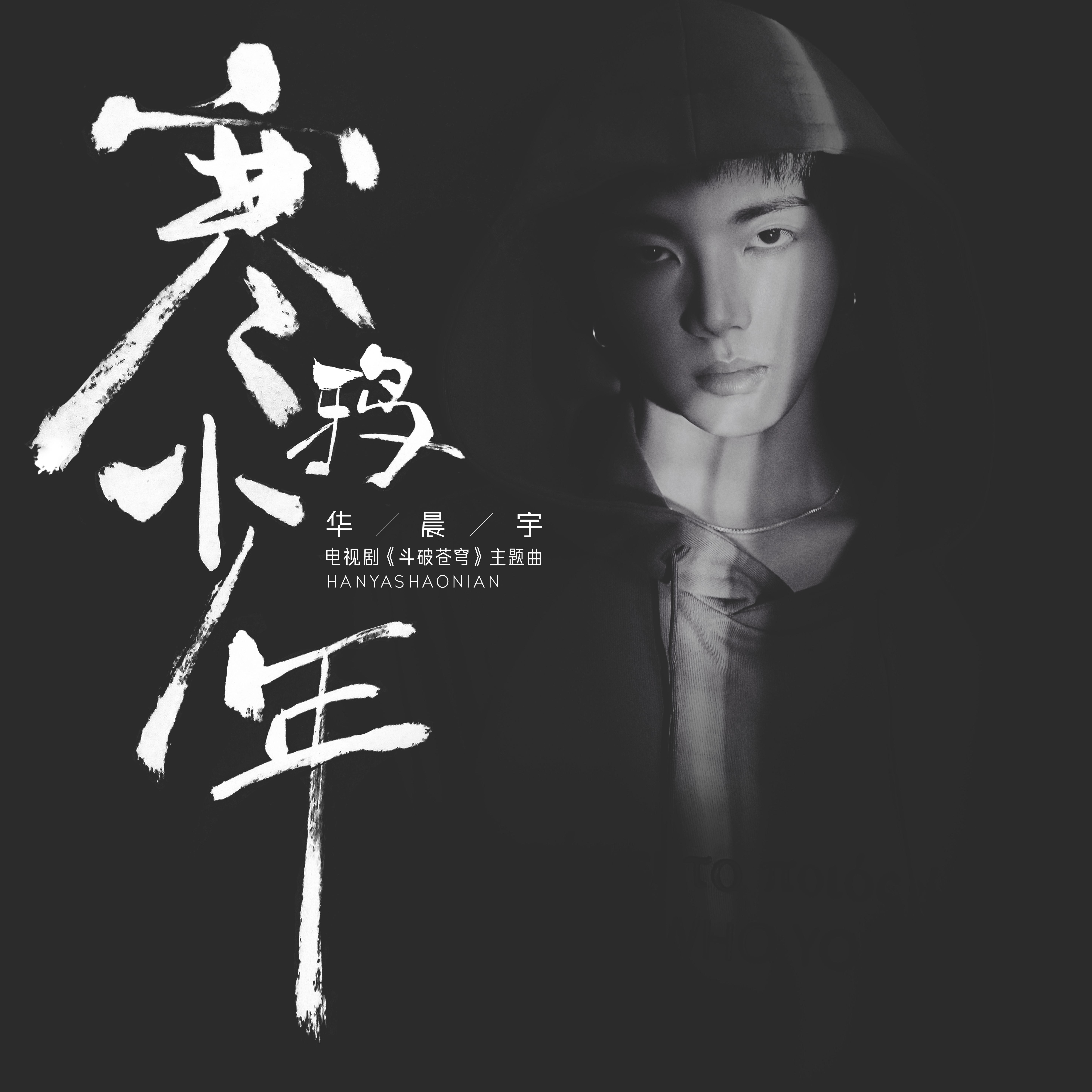 寒鸦少年 海报