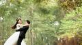 Wedding专辑