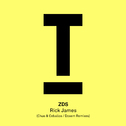 Rick James (Remixes)专辑